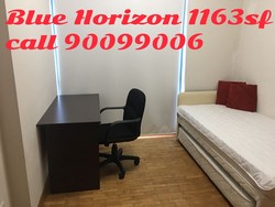 Blue Horizon (D5), Condominium #167342242
